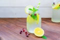 Fresh lemonade with lemons, mint and cranberry on wooden background Royalty Free Stock Photo