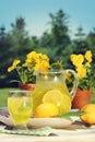 Fresh lemonade on a summer day