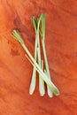 Lemongrass bundle on orange background.