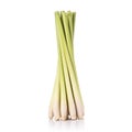 Fresh lemongrass or citronella grass leaf. Studio shot isolated