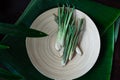 Fresh Lemongrass Cymbopogon citratus or citronella, serai on a wooden plate Royalty Free Stock Photo