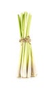 Fresh lemongrass vegetable on white