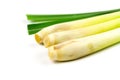 Fresh Lemongrass on white background. Royalty Free Stock Photo