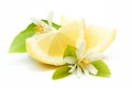 Fresh lemons Royalty Free Stock Photo