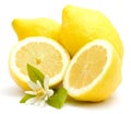 Fresh lemons Royalty Free Stock Photo