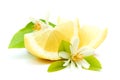 Fresh lemons Royalty Free Stock Photo