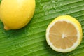 Fresh lemons on banana leaves with water drops. Top view with blank space for text. Royalty Free Stock Photo