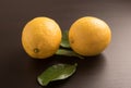 Fresh lemons on the black background Royalty Free Stock Photo