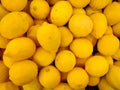 Fresh lemons displayed on the market Royalty Free Stock Photo