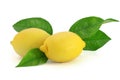 Fresh lemons with leaves Royalty Free Stock Photo