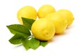 Fresh lemons and lemon leaves. Royalty Free Stock Photo