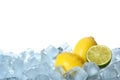 Fresh lemons and lime on ice cubes against white Royalty Free Stock Photo