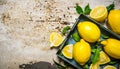 Fresh lemons Royalty Free Stock Photo