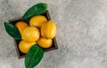 Fresh lemons in an old box with leaves on light gray background Royalty Free Stock Photo