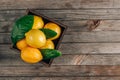 Fresh lemons in an old box with leaves on rustic wooden background Royalty Free Stock Photo