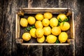 Fresh lemons in an old box. Royalty Free Stock Photo