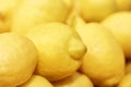 Fresh lemons sale on farm& x27;s market at sunny day, selective focus