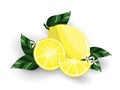 Fresh lemons and slices with leaf, flower isolated on white background Royalty Free Stock Photo