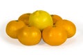 Fresh lemons and tangerins isolated on white Royalty Free Stock Photo