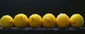 Fresh lemons with water droplets on a dark background Royalty Free Stock Photo