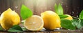 Fresh lemons with water drops. Lemon and green leaves on wooden table. wide banner Royalty Free Stock Photo