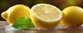 Fresh lemons with water drops. Lemon and green leaves on wooden table. wide banner Royalty Free Stock Photo