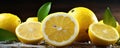 Fresh lemons with water drops. Lemon and green leaves on wooden table. wide banner Royalty Free Stock Photo