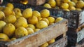 Fresh Lemons in Wooden Crates at Market