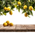 Fresh Lemons on Wooden Table Citrus Fruit Background Image on transparent background Royalty Free Stock Photo