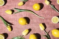 Lemons and yellow tulips on a retro orange tablecloth Royalty Free Stock Photo