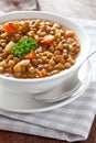 Fresh lentil soup Royalty Free Stock Photo