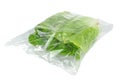 Fresh lettuce in a bag