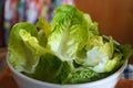 Fresh lettuce in a bowl. Fresh green salad of raw romaine lettuce sliced in white bowl on the table