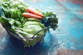 Fresh lettuce, cabbage, spring onions, carrots and parsley in a wire basket Royalty Free Stock Photo