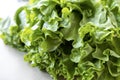 Fresh lettuce close up on white background Royalty Free Stock Photo