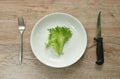 Fresh lettuce with drop of water on plate and fork couple knife Royalty Free Stock Photo