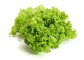 Fresh lettuce isolated on white background. Salad leaf Royalty Free Stock Photo