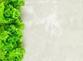 Fresh lettuce leaves border over grey concrete stone background Royalty Free Stock Photo