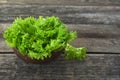 Fresh lettuce leaves in a bowl