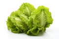 Fresh Lettuce leaves cabbage. Generate Ai