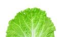 Fresh Lettuce / one leaf isolated on white background Royalty Free Stock Photo