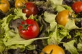 Fresh lettuce and red and yellow cherry tomatoes. Royalty Free Stock Photo