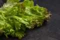 Fresh lettuce salad on a dark background