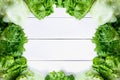 Fresh lettuce salad, green vegetable on white wood background, Top view with Coopy space Royalty Free Stock Photo