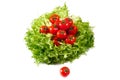 Fresh lettuces salad with fresh tomatoes