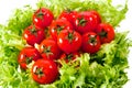 Fresh lettuces salad with fresh tomatoes