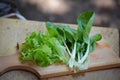 letuce salad on wooden table healthy eating concept, choping board