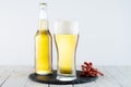 Fresh light beer with a charcuterie. Glass of beer with foam. Glass and bottle of beer.White background Royalty Free Stock Photo