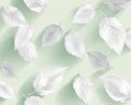 Fresh Light Green Background with Grey Foliage and White Botanicals for Natural Simplicity Display Royalty Free Stock Photo