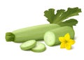 Fresh light green vegetable marrow zucchini on white background